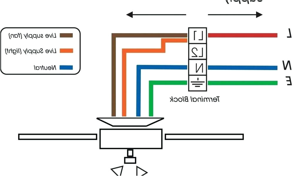 Harbor Breeze Ceiling Fan with Remote Wiring Diagram Diagram Of Animal Cell Structure Harbor Breeze Ceiling Fan Capacitor