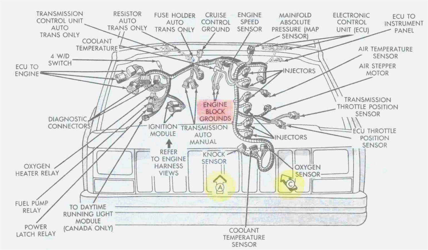 Jeep Wiring Harness Diagram Jeep Cherokee Wiring Harness Wiring Diagram Files Jeep Wiring Harness Diagram Jeep Cherokee Wiring Harness Wiring Diagram Files
