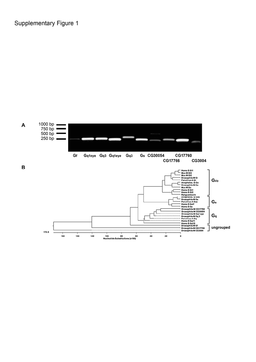 Mcg Contactor Wiring Diagram Vehicle Wiring Diagrams Electronic Circuit Diagram Linkdeln Mcg Contactor Wiring Diagram Vehicle Wiring Diagrams Electronic Circuit Diagram Linkdeln