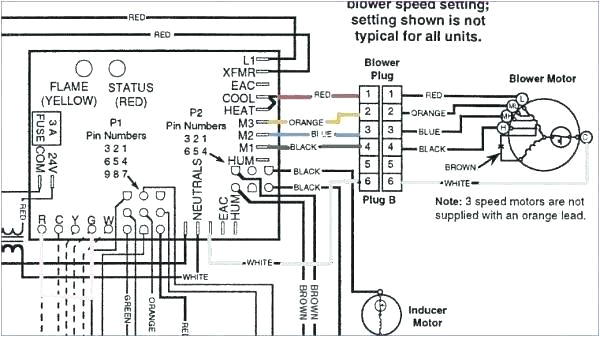 Nordyne Condenser Wiring Diagram Gibson Ac Unit Diagram Wiring Diagram