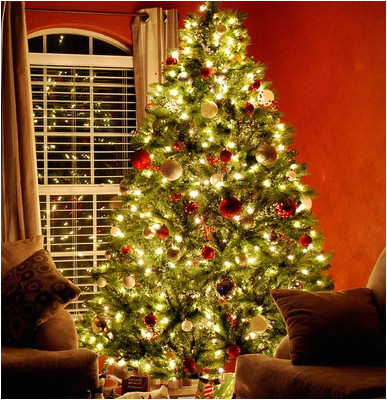 Pre Lit Christmas Tree Wiring Diagram How Many Christmas Lights for Christmas Trees 1000bulbs Com Blog Pre Lit Christmas Tree Wiring Diagram How Many Christmas Lights for Christmas Trees 1000bulbs Com Blog