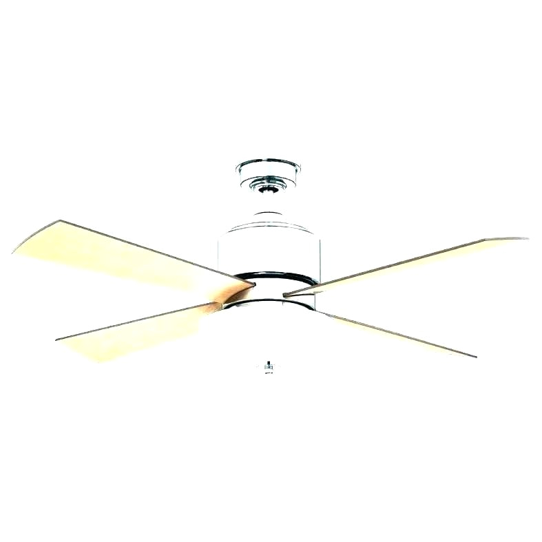Regency Ceiling Fan Wiring Diagram Quorum Ceiling Fan Wiring Diagram Getting Ready with Wiring Diagram Regency Ceiling Fan Wiring Diagram Quorum Ceiling Fan Wiring Diagram Getting Ready with Wiring Diagram