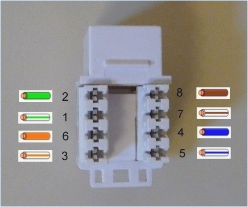 Rj45 Wall Jack Wiring Diagram Wall Jack Wiring Cat 6 Data Schematic Diagram