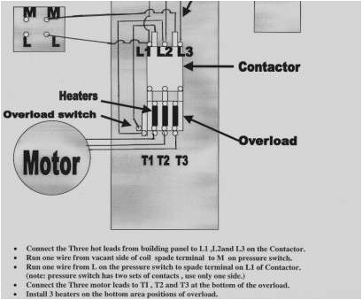Square D 8536sco3s Wiring Diagram 14 Professional Nema Motor Starter Wiring Diagram Collections Type Square D 8536sco3s Wiring Diagram 14 Professional Nema Motor Starter Wiring Diagram Collections Type