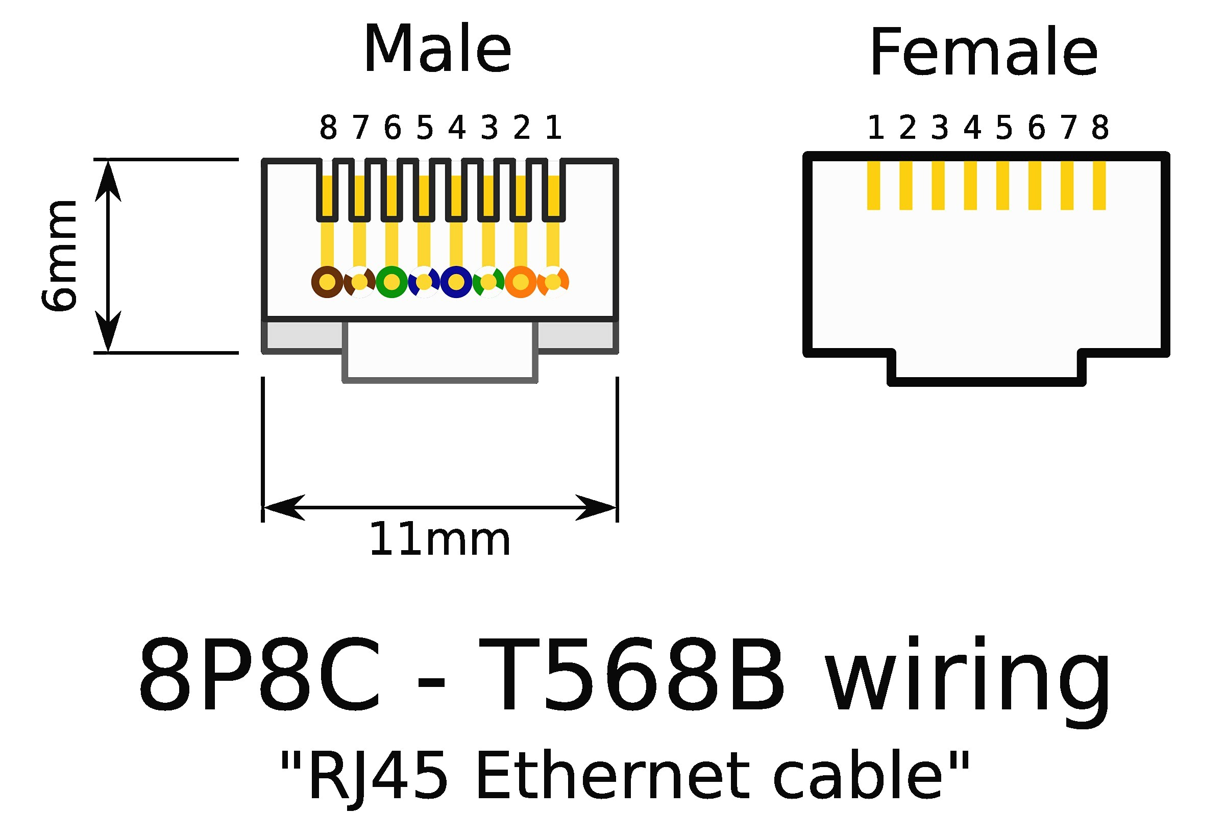 T568b Wiring Diagram Patch Panel Rj45 B Wiring Diagram Wiring Diagram Database T568b Wiring Diagram Patch Panel Rj45 B Wiring Diagram Wiring Diagram Database