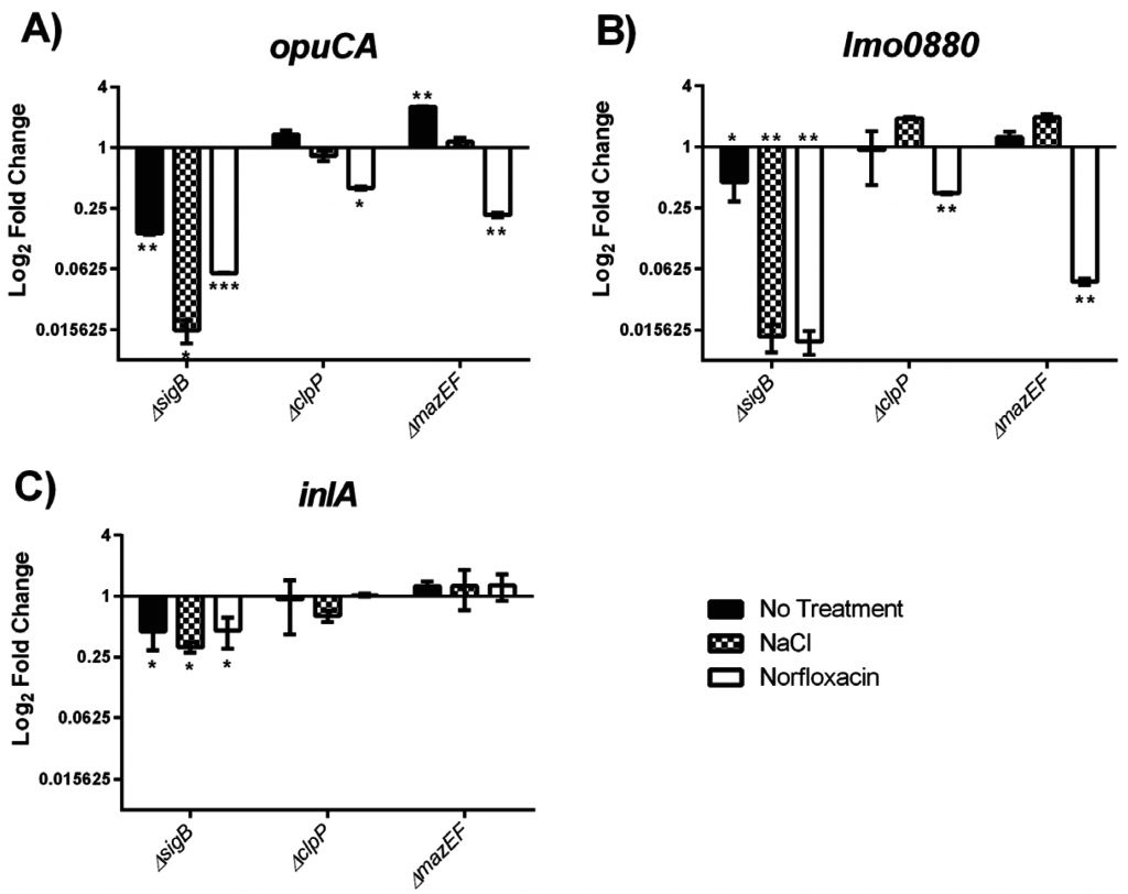 Takeuchi Tl130 Wiring Diagram Takeuchi Tl130 Wiring Schematic Free Wiring Diagram Takeuchi Tl130 Wiring Diagram Takeuchi Tl130 Wiring Schematic Free Wiring Diagram