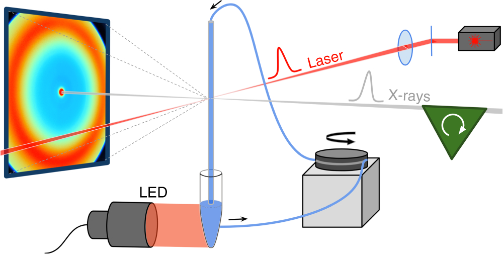 Triple S Customs Wiring Diagrams Light Induced Structural Changes In A Full Length Cyanobacterial Triple S Customs Wiring Diagrams Light Induced Structural Changes In A Full Length Cyanobacterial
