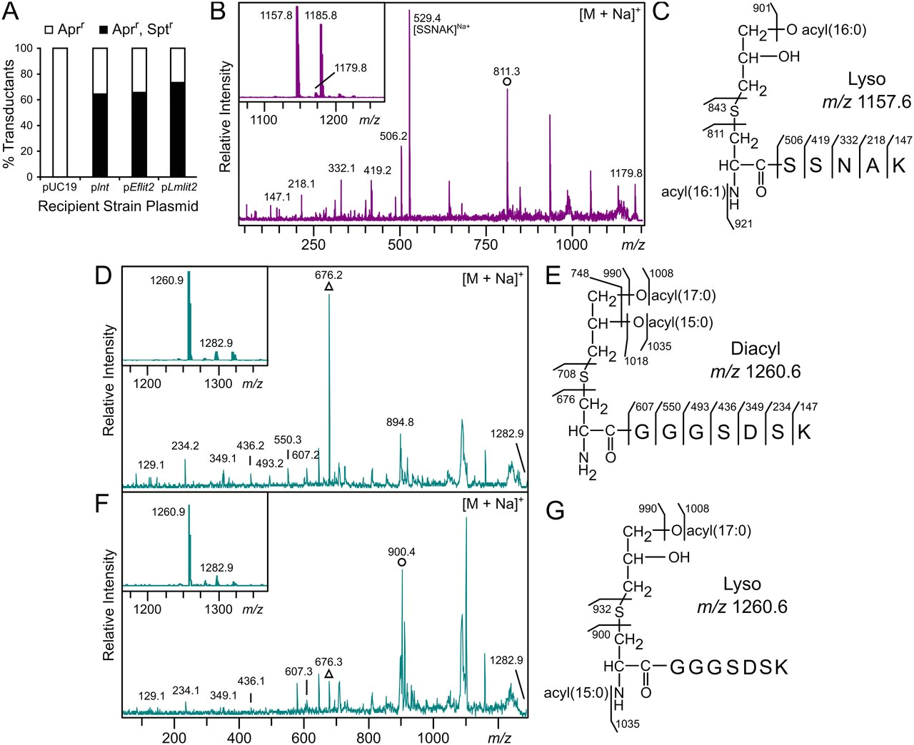 Ut Electronic Controls 1018 Wiring Diagram Copper Induced Expression Of A Transmissible Lipoprotein