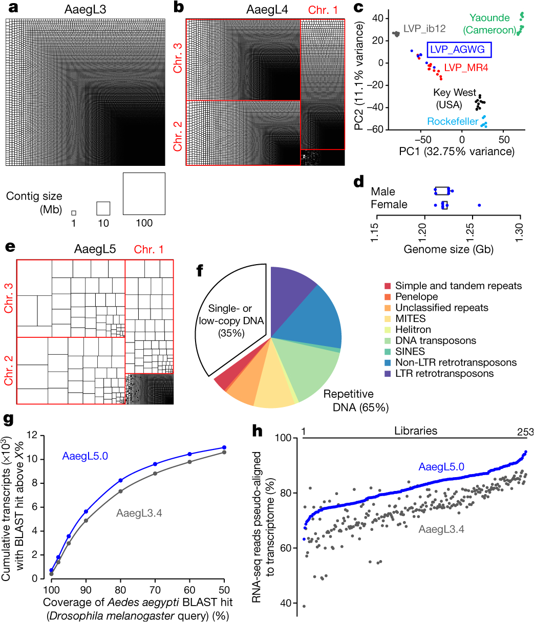 Juicebox Pro 40 Wiring Diagram Improved Reference Genome Of Aedes Aegypti Informs Arbovirus Juicebox Pro 40 Wiring Diagram Improved Reference Genome Of Aedes Aegypti Informs Arbovirus