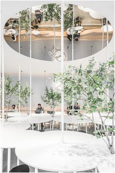 Les Paul 50's Wiring Diagram 278 Best Tea Shop Images In 2019 Restaurant Design Design