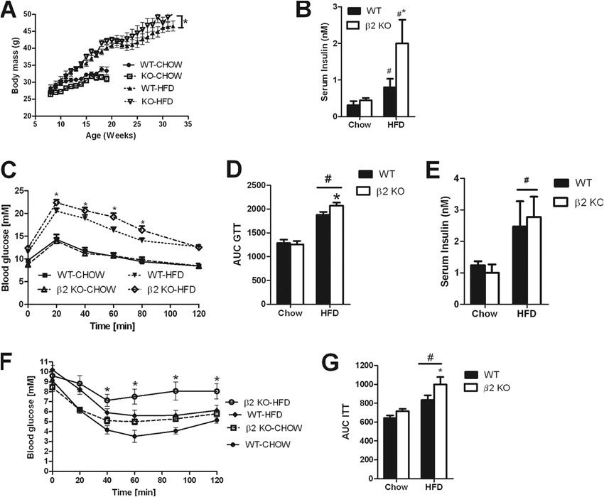 Sole F63 Wiring Diagram High Fat Diet Fed Ampk 2 Ko Mice Gain More Weight Over Time Sole F63 Wiring Diagram High Fat Diet Fed Ampk 2 Ko Mice Gain More Weight Over Time