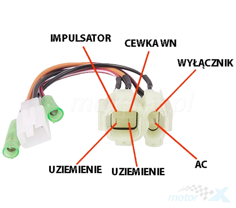12v Yamaha Raptor 700r Wiring Diagram Zundmodul Entriegelt Gerippt 2t Www Motor X De Online Store 12v Yamaha Raptor 700r Wiring Diagram Zundmodul Entriegelt Gerippt 2t Www Motor X De Online Store