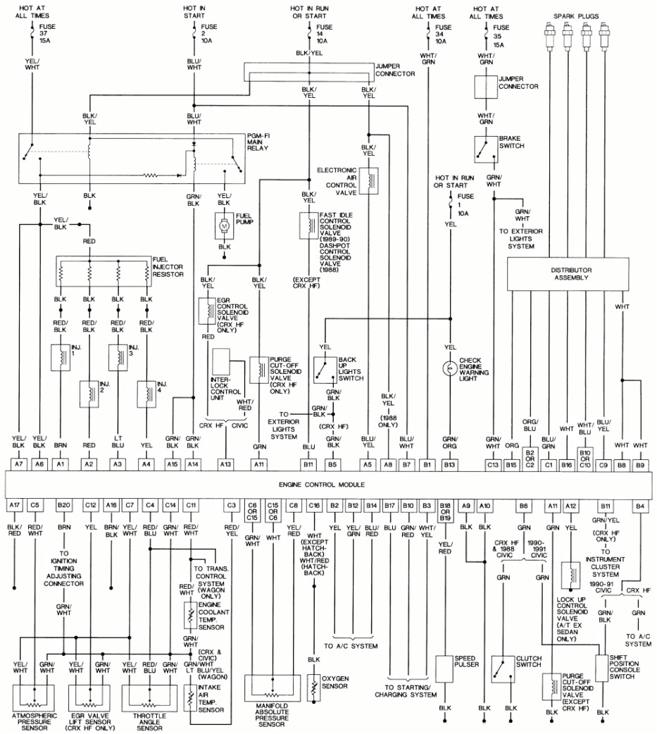 1993 Honda Civic Fuel Pump Wiring Diagram 1989 Honda Civic Wiring Diagram Schematic Blog Wiring Diagram 1993 Honda Civic Fuel Pump Wiring Diagram 1989 Honda Civic Wiring Diagram Schematic Blog Wiring Diagram