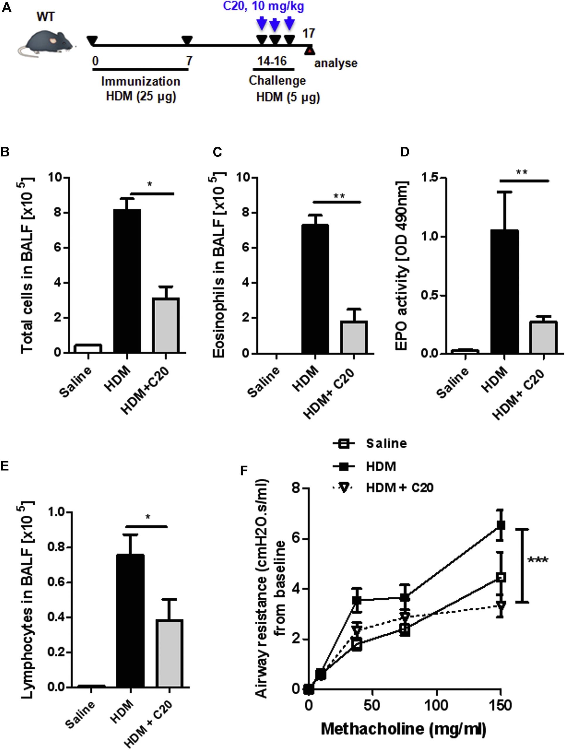 2 Wire Dimmer Switch Diagram Unique Wiring A 2 Gang Dimmer Switch Diagram with Images