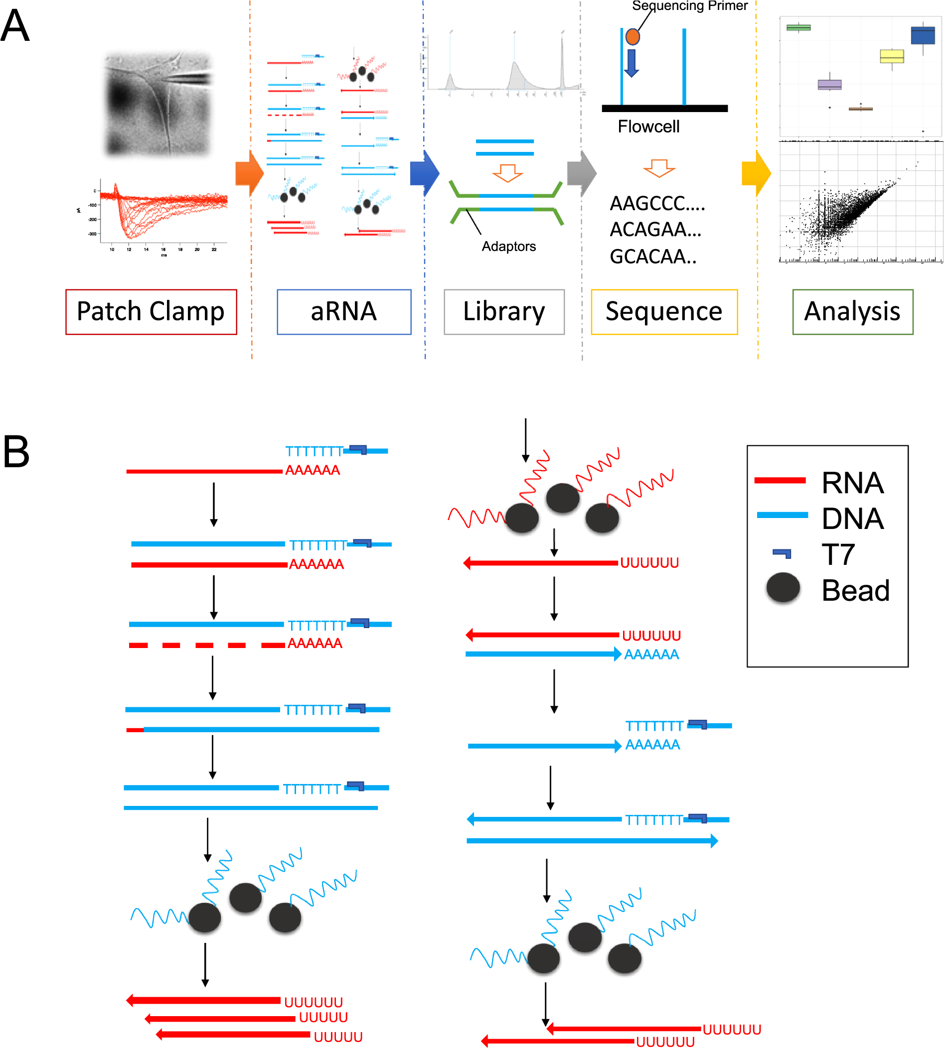 791 bypass Module Wiring Diagram Robust Rna Seq Of Arna Amplified Single Cell Material 791 bypass Module Wiring Diagram Robust Rna Seq Of Arna Amplified Single Cell Material