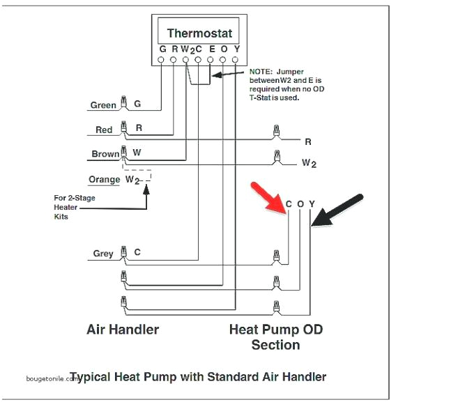Ao Smith Pool Pump Wiring Diagram Rh 7744 Smith Motor Wiring Diagram Motor Repalcement Parts Ao Smith Pool Pump Wiring Diagram Rh 7744 Smith Motor Wiring Diagram Motor Repalcement Parts