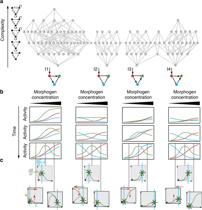 Atkinson Dynamics Ad 27 Wiring Diagram A Unified Design Space Of Synthetic Stripe forming Networks Atkinson Dynamics Ad 27 Wiring Diagram A Unified Design Space Of Synthetic Stripe forming Networks