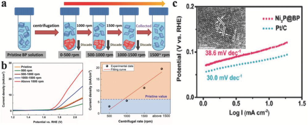 Baumer Ch 8501 Wiring Diagram Promise and Challenge Of Phosphorus In Science Technology