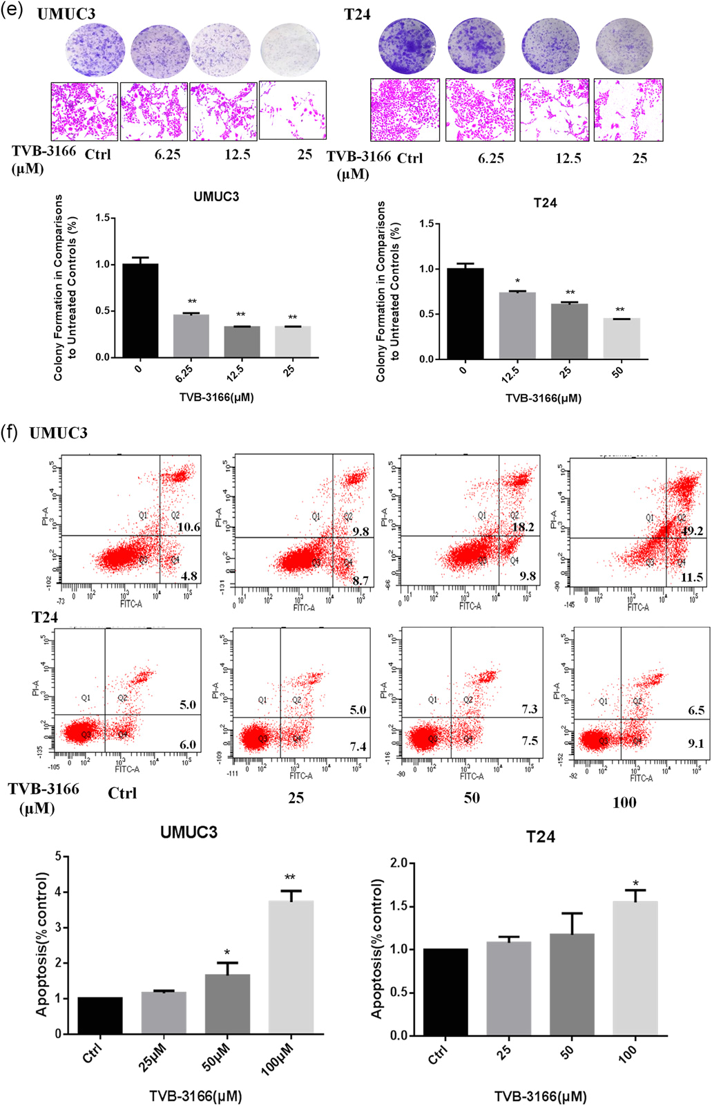 Bodine Eli S 100 Wiring Diagram Down Regulation Of Pkm2 Decreases Fasn Expression In Bladder Bodine Eli S 100 Wiring Diagram Down Regulation Of Pkm2 Decreases Fasn Expression In Bladder