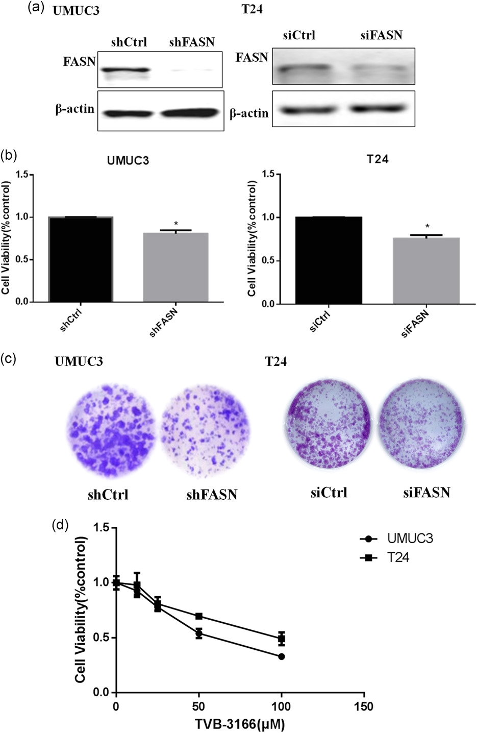 Bodine Eli S 100 Wiring Diagram Down Regulation Of Pkm2 Decreases Fasn Expression In Bladder Bodine Eli S 100 Wiring Diagram Down Regulation Of Pkm2 Decreases Fasn Expression In Bladder