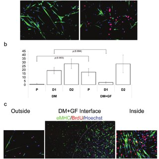 Bodine Eli S 100 Wiring Diagram Pdf Geometric Control Of Myogenic Cell Fate Bodine Eli S 100 Wiring Diagram Pdf Geometric Control Of Myogenic Cell Fate