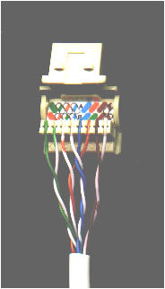 Cat5 Wall Plate Wiring Diagram Cat5 Wiring Diagram Wall Plate Australia Karepe Opo Cat5 Wall Plate Wiring Diagram Cat5 Wiring Diagram Wall Plate Australia Karepe Opo