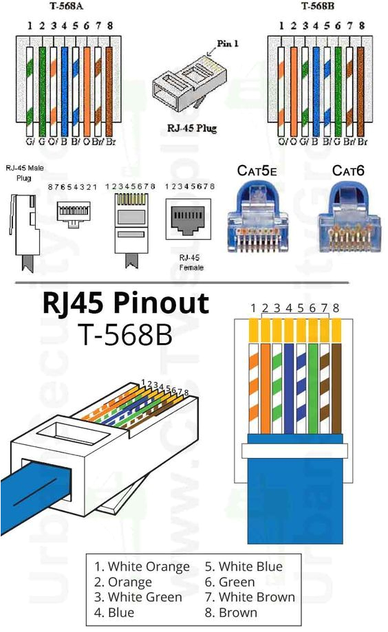 Cat5e Straight Through Wiring Diagram Ty 8962 to Rj45 Connector Cat 6 Wiring Diagram All Image Cat5e Straight Through Wiring Diagram Ty 8962 to Rj45 Connector Cat 6 Wiring Diagram All Image