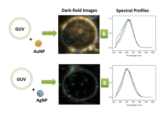 Dell Nps 250kb Wiring Diagram Ijms April 2018 Browse Articles