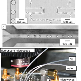 Edwards 270 Spo Wiring Diagram Pdf Microwave Dielectric Heating Of Drops In Microfluidic