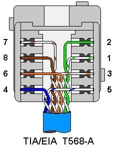 Ethernet Wall Jack Wiring Diagram Terminating Wall Plates Wiring Teknik Listrik Teknologi Ethernet Wall Jack Wiring Diagram Terminating Wall Plates Wiring Teknik Listrik Teknologi