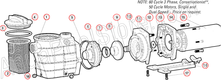Hayward Pool Pump Wiring Diagram Wiring Diagram for Hayward Pool Pump Diagram Base Website