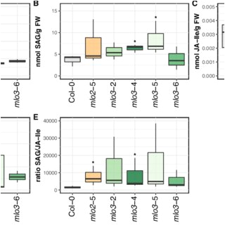 Keyence Light Curtain Wiring Diagram Pdf Arabidopsis Mlo3 Mutant Plants Exhibit Spontaneous Keyence Light Curtain Wiring Diagram Pdf Arabidopsis Mlo3 Mutant Plants Exhibit Spontaneous