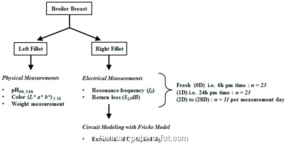 Leviton Illuminated Switch Wiring Diagram Rd 8543 Leviton Wiring Diagrams Collection Leviton 3 Way Leviton Illuminated Switch Wiring Diagram Rd 8543 Leviton Wiring Diagrams Collection Leviton 3 Way
