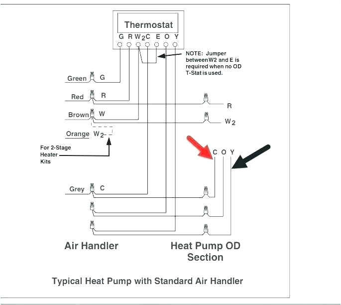 Nest thermostat Wiring Diagram 2 Wire Heat Only thermostat Wiring Nest Cavet Site Nest thermostat Wiring Diagram 2 Wire Heat Only thermostat Wiring Nest Cavet Site