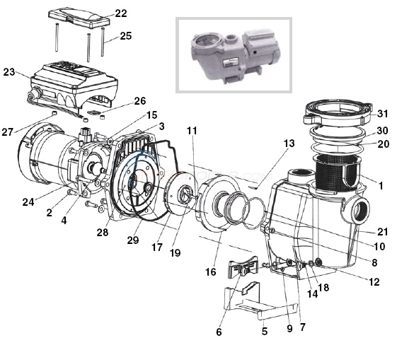 Pool Pump Motor Wiring Diagram Pentair Intelliflo Vf Parts Inyopools Com Pool Pump Motor Wiring Diagram Pentair Intelliflo Vf Parts Inyopools Com