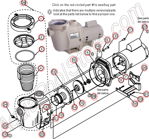 Pool Pump Motor Wiring Diagram Pentair Whisperflo Pump Parts