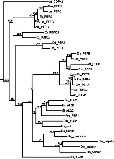Ready Remote 24921b Wiring Diagram Biochemical Characterization Of A Truncated Penta Ef Hand