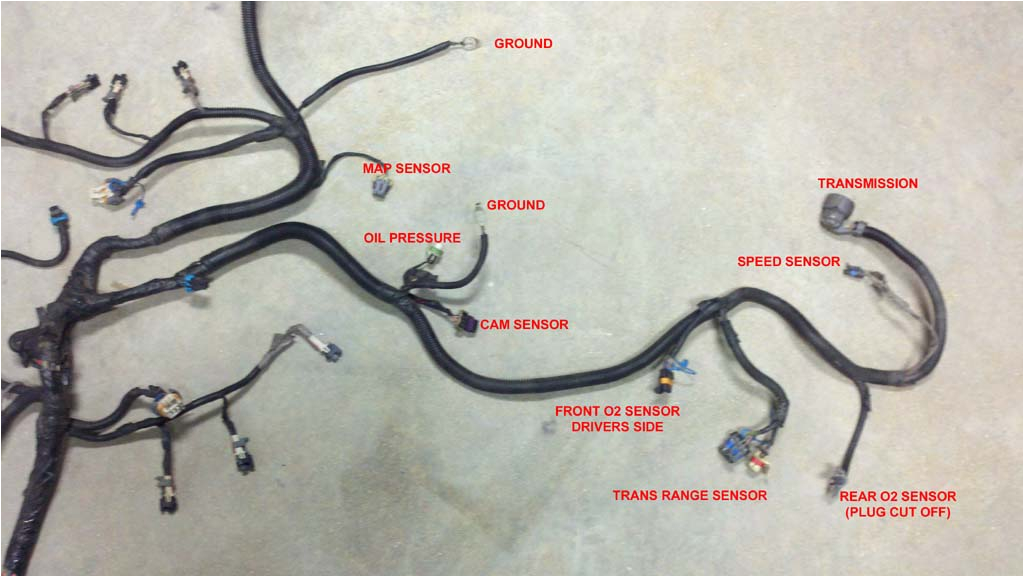 5.3 Vortec Wiring Harness Diagram 5 3 Wiring Harness Stand Alone