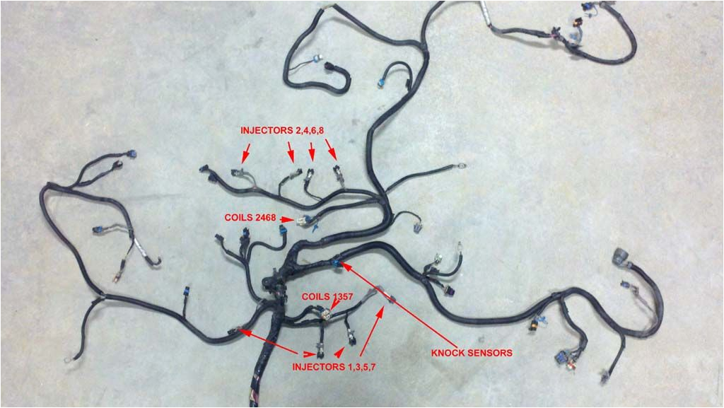 5.3 Vortec Wiring Harness Diagram 5 3 Wiring Harness Standalone Schematic and Wiring Diagram