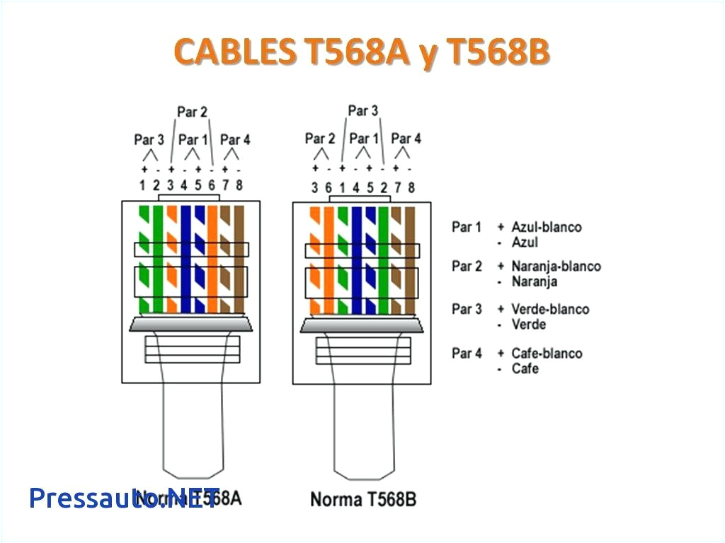 Cat5e Wiring Diagram A or B Cat 5 Wiring Diagram Pdf Free Wiring Diagram Cat5e Wiring Diagram A or B Cat 5 Wiring Diagram Pdf Free Wiring Diagram