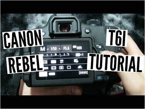 Conveyor Pull Cord Switch Wiring Diagram Conveyor Pull Cord Switch Wiring Diagram Manuals and Conveyor Pull Cord Switch Wiring Diagram Conveyor Pull Cord Switch Wiring Diagram Manuals and