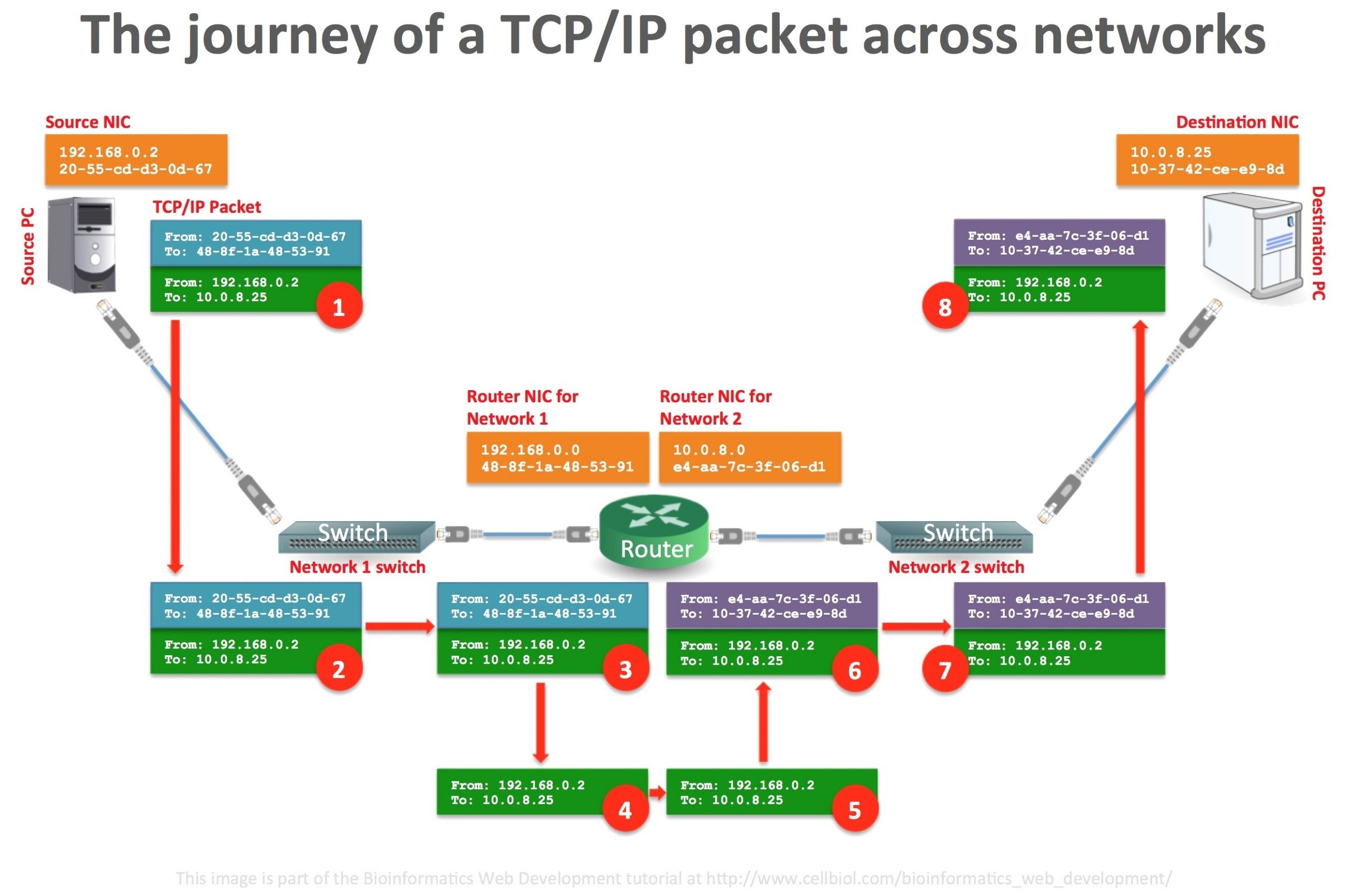 Db25 to Usb Wiring Diagram Usb to Db25 Parallel Printer Cable Wiring Diagram Usb Db25 to Usb Wiring Diagram Usb to Db25 Parallel Printer Cable Wiring Diagram Usb