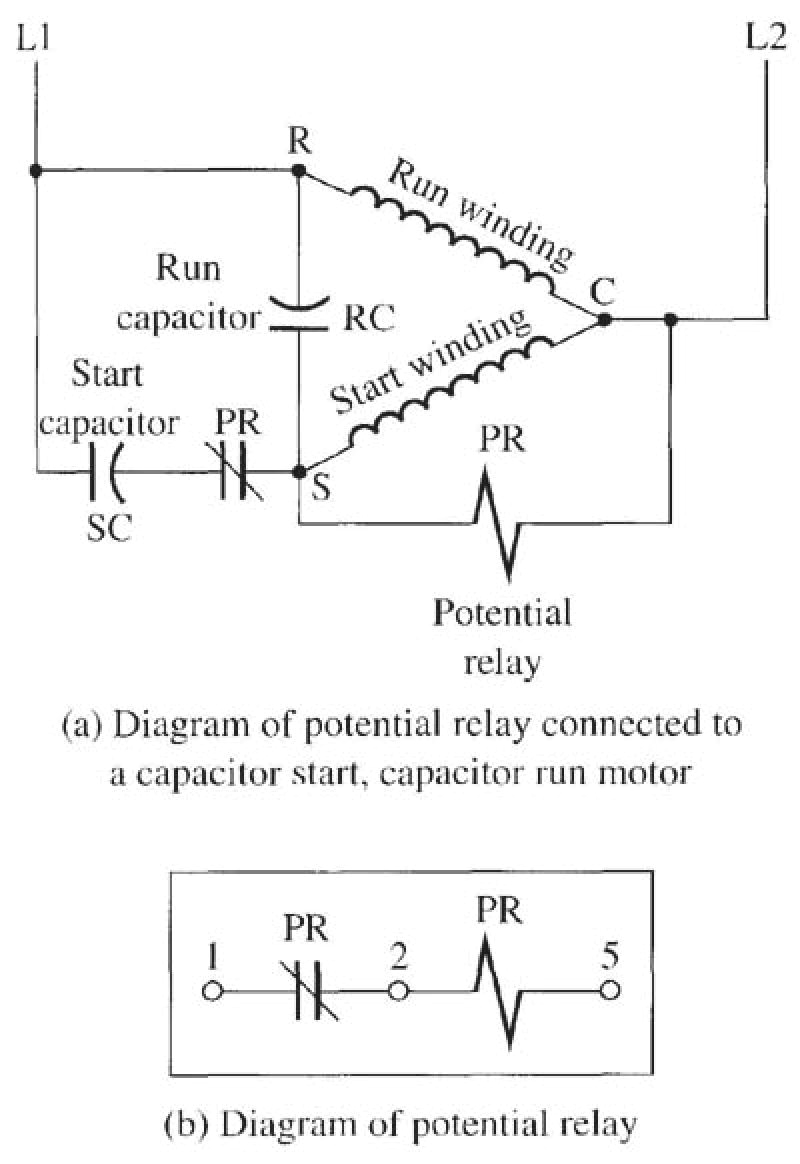 Single Phase Capacitor Start Run Motor Wiring Diagram Wiring Diagram for Capacitor Start Motor Techunick Biz