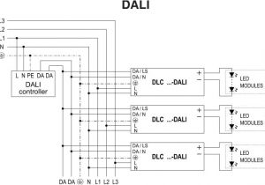 0 10v Dimming Ballast Wiring Diagram Different Dimming Types for Led Lighting Arrant Light Blog 0 10v Dimming Ballast Wiring Diagram Different Dimming Types for Led Lighting Arrant Light Blog
