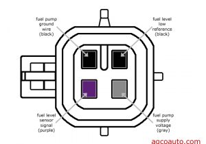 03 Silverado Fuel Pump Wiring Diagram Gm Fuel Pump Wiring Diagram Free Wiring Diagram