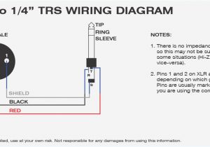1 4 Stereo Jack Wiring Diagram Phono Plug Wiring Diagram Wiring Diagram Basic 1 4 Stereo Jack Wiring Diagram Phono Plug Wiring Diagram Wiring Diagram Basic