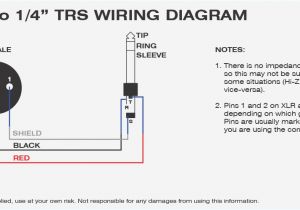 1 4 Stereo Jack Wiring Diagram Phono Plug Wiring Diagram Wiring Diagram Basic