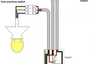 1 Gang 1 Way Switch Wiring Diagram Uk Wiring Diagram for 2 Gang 1 Way Light Switch