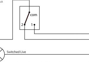 1 Switch 2 Lights Wiring Diagram Simple Series Circuit Diagram Circuit Diagrams for the Od Wiring