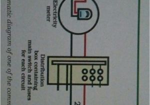 10 Point Meter Pan Wiring Diagram Draw A Schematic Labelled Diagram Of A Domestic Circuit which Has A